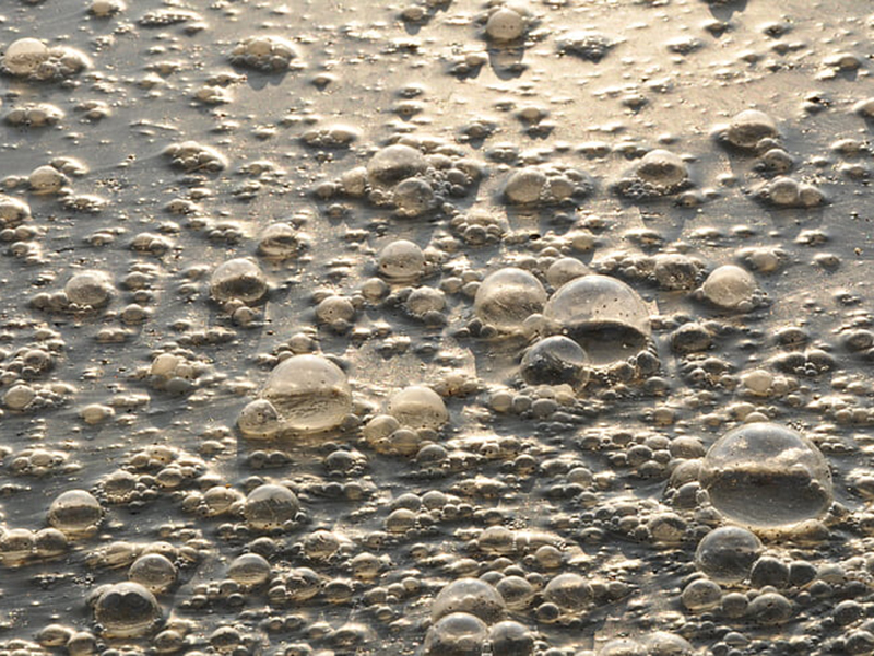 檢測工業(yè)污水可以用在線氨氮檢測儀嗎？