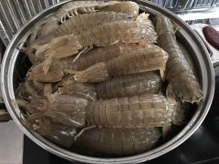 皮皮蝦中為什么會(huì)被檢測(cè)出鎘超標(biāo)？