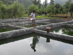 水中硫化氫檢測儀，可以為水產(chǎn)養(yǎng)殖做什么？