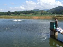 水產(chǎn)養(yǎng)殖檢測儀，為水產(chǎn)提供優(yōu)良的生長環(huán)境
