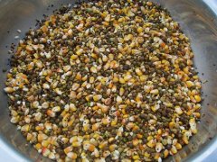 真菌毒素對(duì)人和動(dòng)物有極大的危害！